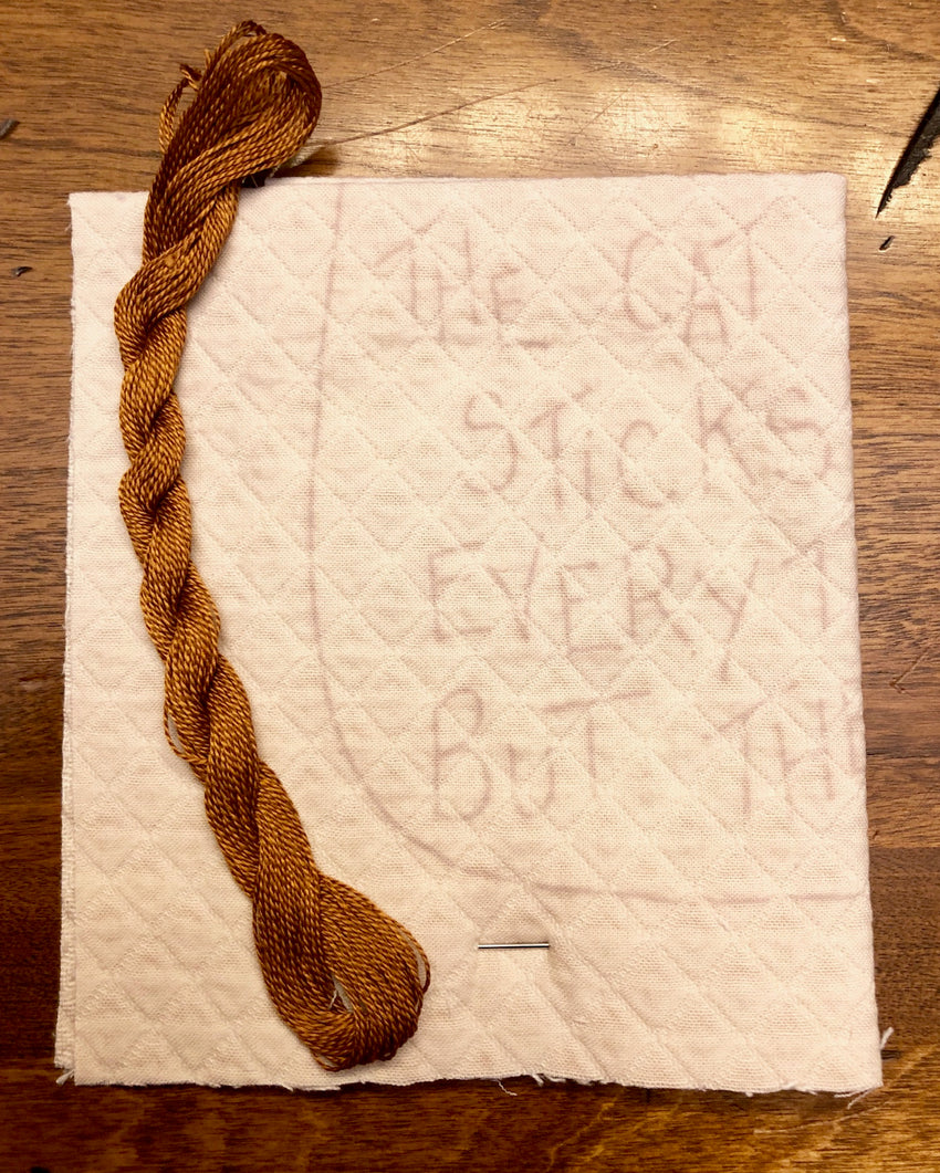 Cat Hair Embroidery Kit by The Good Life