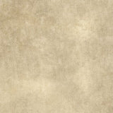 Quilting Fabric Shadow Play Classic Cream by Maywood Studio